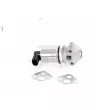 GH GH-732506 - Vanne EGR