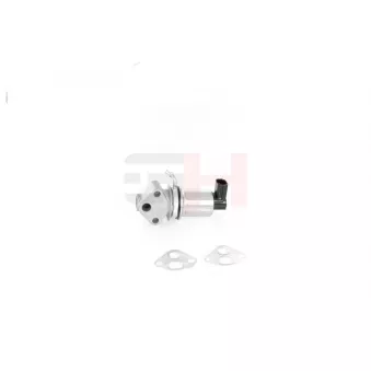 Vanne EGR GH OEM 020911023F