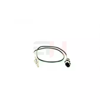 Capteur, température des gaz GH OEM 2507023