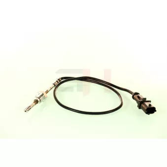 Capteur, température des gaz GH OEM 55203808