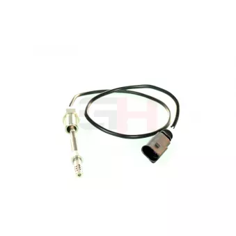 Capteur, température des gaz GH OEM 076906088C