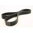 Courroie trapézoïdale à nervures JAPANPARTS [DV-6PK1200]