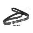 Courroie trapézoïdale à nervures JAPANPARTS [DV-6PK1625]