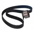 JAPANPARTS KDD-414 - Kit de courroie crantée