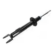 JAPANPARTS MM-90018 - Amortisseur avant droit