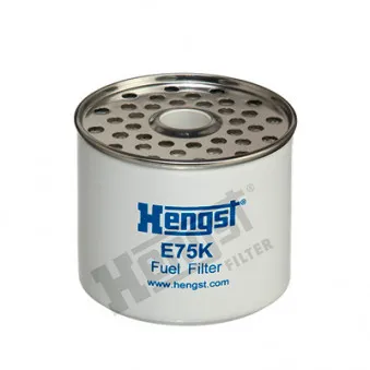Filtre à carburant HENGST FILTER [E75K D42]