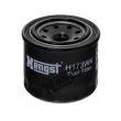 HENGST FILTER H173WK - Filtre à carburant