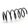 Ressort de suspension JAPANPARTS [ZC1164G]