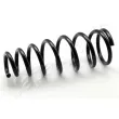 Ressort de suspension JAPANPARTS [ZC1477I]