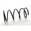 Ressort de suspension JAPANPARTS [ZC2440D]