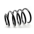 Ressort de suspension JAPANPARTS [ZC2934C]