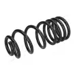 Ressort de suspension JAPANPARTS [ZC5013A]