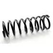 Ressort de suspension JAPANPARTS [ZC5306A]