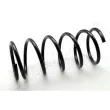 Ressort de suspension JAPANPARTS [ZC5391A]