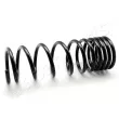 Ressort de suspension JAPANPARTS [ZC5502D]