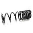 Ressort de suspension JAPANPARTS [ZC5503A]
