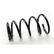 Ressort de suspension JAPANPARTS [ZC6103I]