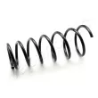 Ressort de suspension JAPANPARTS [ZC6161I]