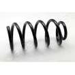 Ressort de suspension JAPANPARTS [ZC6343C]