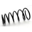 Ressort de suspension JAPANPARTS [ZC6428G]