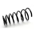 Ressort de suspension JAPANPARTS [ZC6516I]