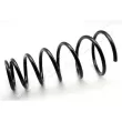 Ressort de suspension JAPANPARTS [ZC6798G]