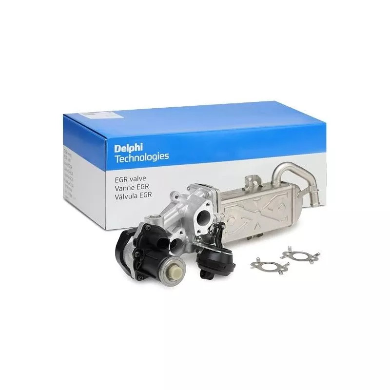 Vanne EGR DELPHI EG10472-12B1 - Visuel 1