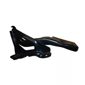 charnière de capot droite TEKNÖR M6216