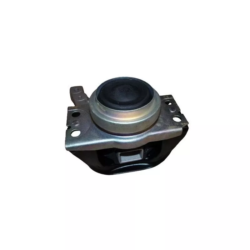 Support moteur TEKNÖR M57047 - Visuel 1