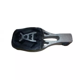 Support moteur TEKNÖR M54329