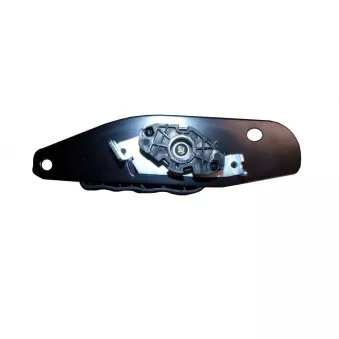 Poignet de porte, équipment intérieur arrière gauche TEKNÖR OEM 8200778366