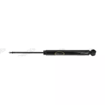 Jeu de 2 amortisseurs arrière MONROE OEM GHY528910