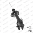 MONROE D0006L - Jeu de 2 amortisseurs avant