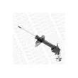 MONROE D0021R - Jeu de 2 amortisseurs avant