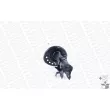 MONROE D0023R - Amortisseur avant droit