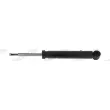 MONROE D0310L - Jeu de 2 amortisseurs avant