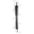 MONROE D4435S - Jeu de 2 amortisseurs avant