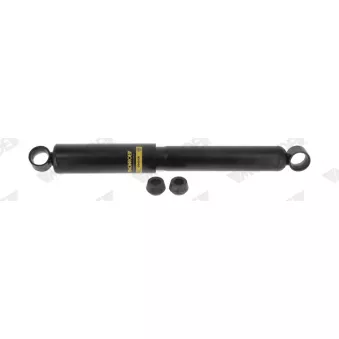 Jeu de 2 amortisseurs avant MONROE OEM 4853160121