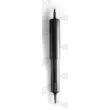 MONROE D6419S - Jeu de 2 amortisseurs avant