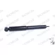 MONROE D6629S - Jeu de 2 amortisseurs arrière