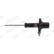 MONROE D7007R - Amortisseur avant droit