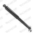 MONROE D7020S - Jeu de 2 amortisseurs arrière