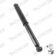 MONROE D7020S - Jeu de 2 amortisseurs arrière