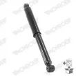 MONROE D7021S - Jeu de 2 amortisseurs arrière