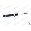 MONROE D8005S - Jeu de 2 amortisseurs avant