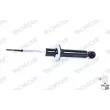MONROE D8005S - Jeu de 2 amortisseurs avant