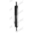 MONROE D8016S - Jeu de 2 amortisseurs avant