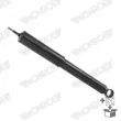MONROE D8019S - Jeu de 2 amortisseurs arrière