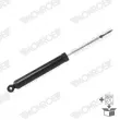 MONROE D8020S - Jeu de 2 amortisseurs arrière