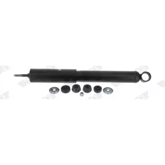 Jeu de 2 amortisseurs arrière MONROE OEM 4853169495
